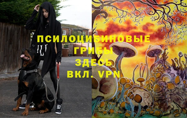 a pvp Балахна