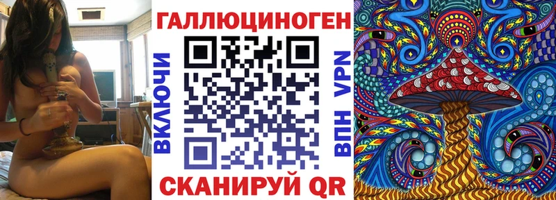 сколько стоит  Переславль-Залесский  Псилоцибиновые грибы мицелий 
